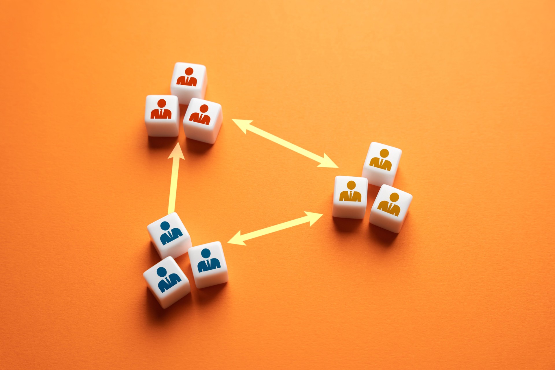 Cooperation of teams and groups.